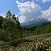 長閑な期間