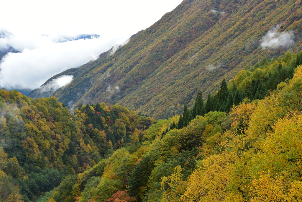 山肌の紅葉