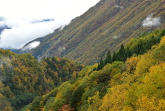 山肌の紅葉