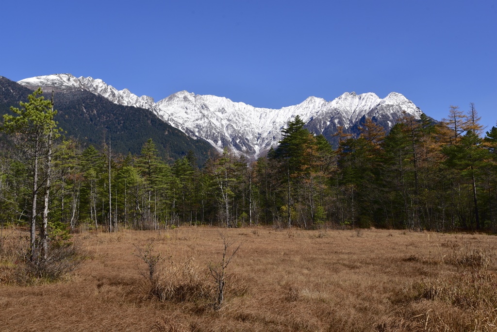 田代湿原と穂高連峰