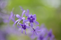 ふんわり編み物