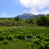 どじょう池より乗鞍岳を望む