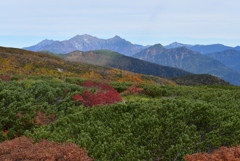 穂高連峰を望む