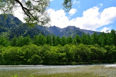 清々しい新緑の上高地