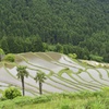 美しい棚田の世界　千枚田