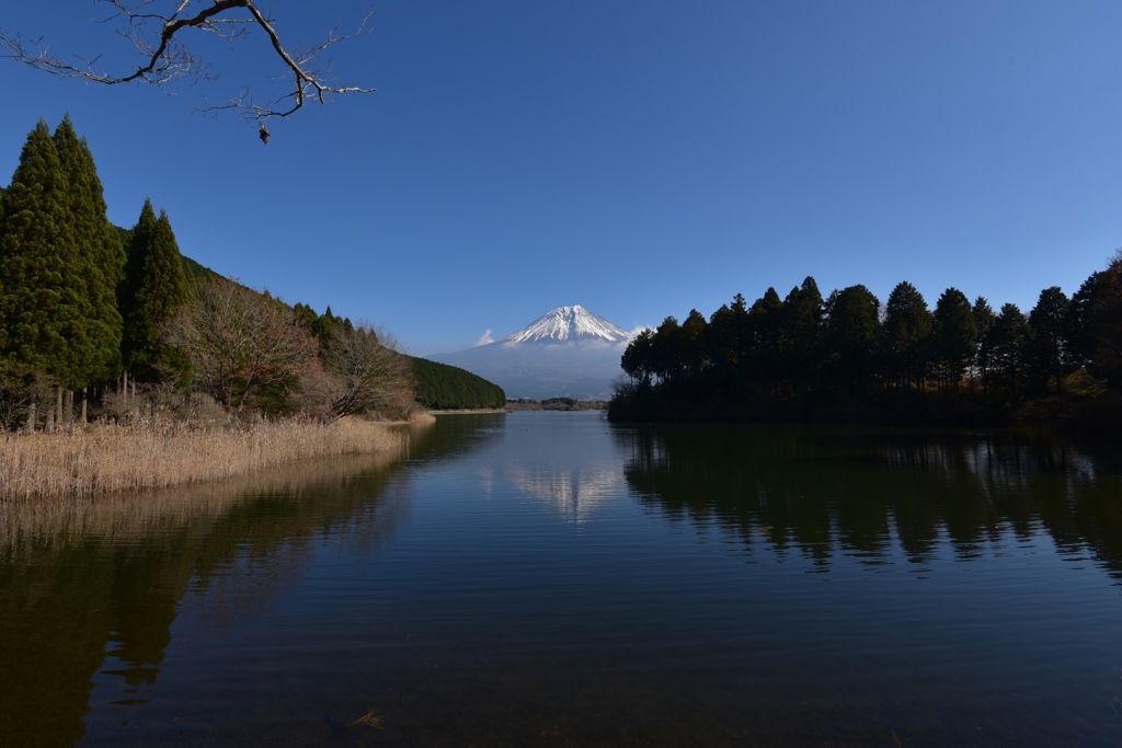 田貫湖の富士