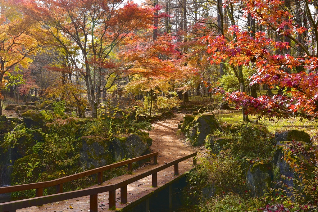 時を忘れて、あなたと二人