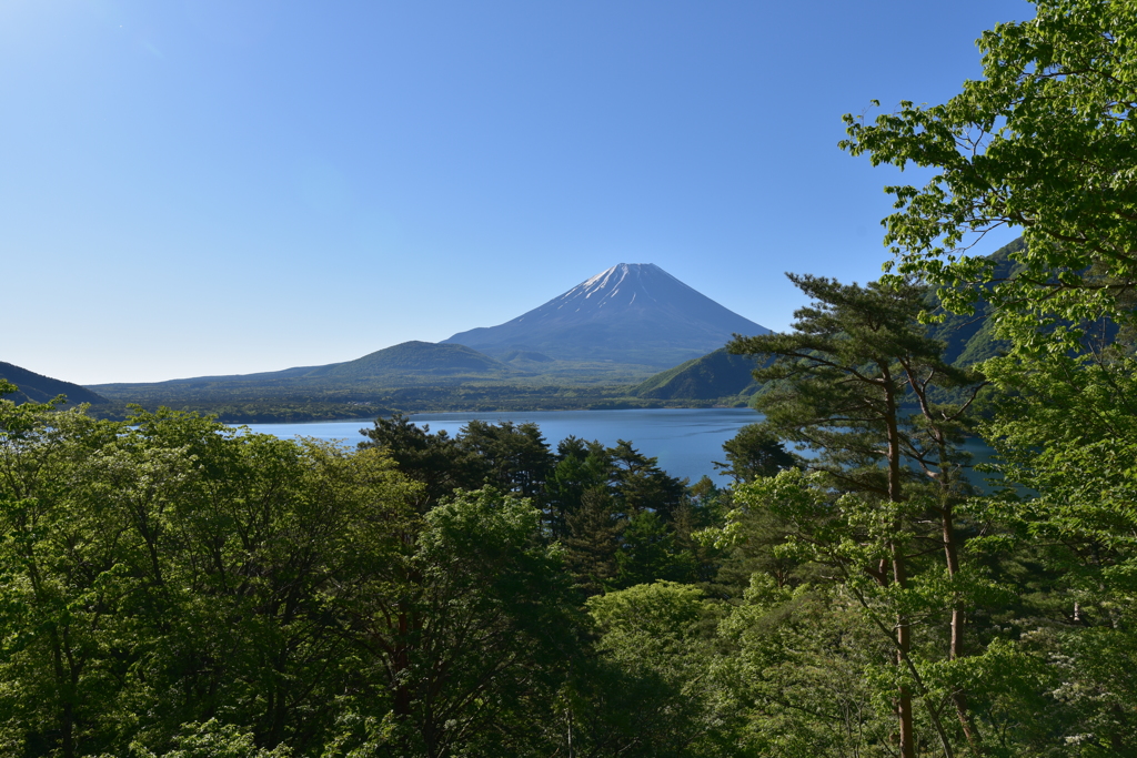 本栖湖と富士