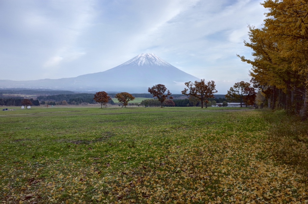 ついついのんびり、ふもとっぱらの富士