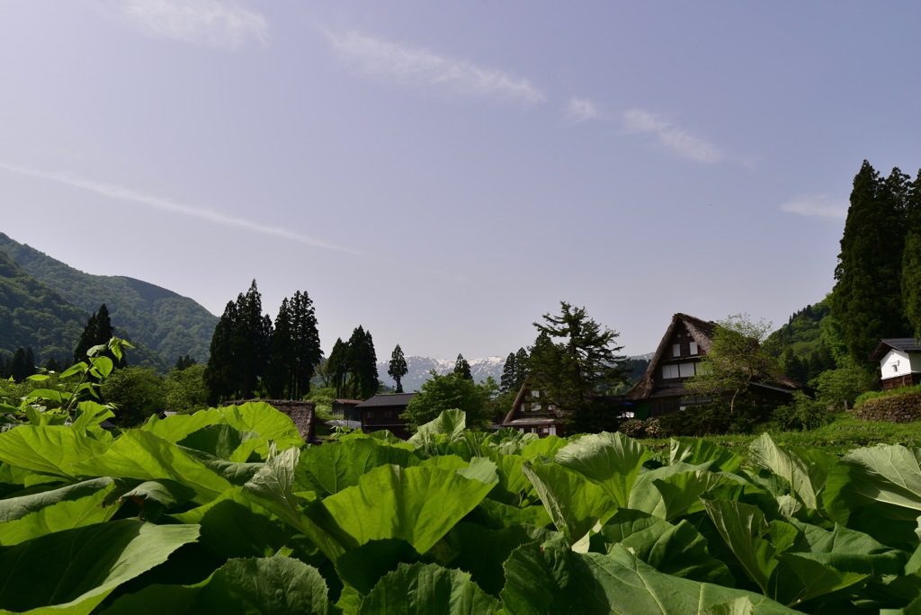 静かな山里