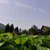 静かな山里