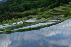 水田鏡