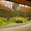 京都の秋２