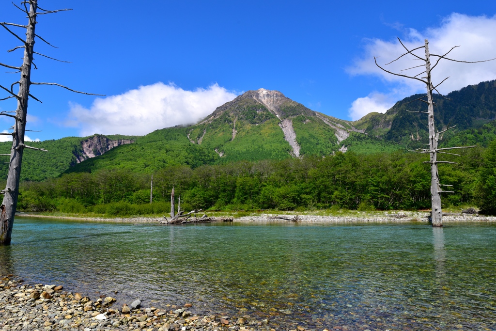 新緑の大正池と焼岳