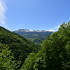 新緑の峠より乗鞍岳を望む