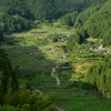 四谷千枚田