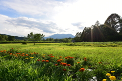 真夏の開田高原