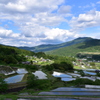 青空と水田