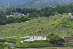 丸山千枚田