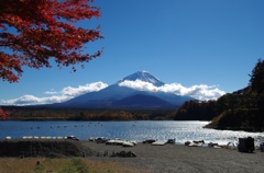 富士山と宙に舞った黄色いモミジ