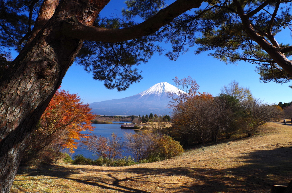 覗き見の富士山