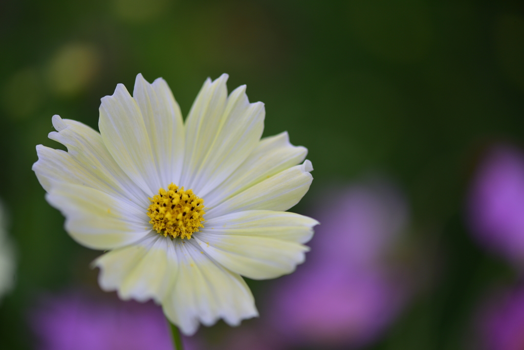 gently
