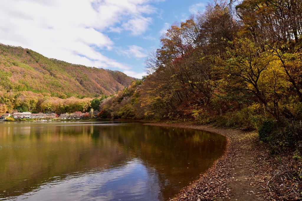 神秘麗湖（しびれこ）の秋