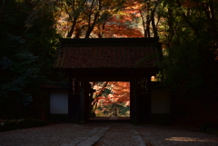 晩秋の香積寺