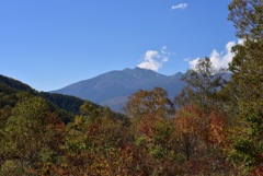 白樺峠　タカの見の広場