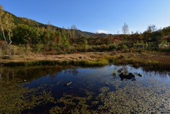 秋の偲ぶの池