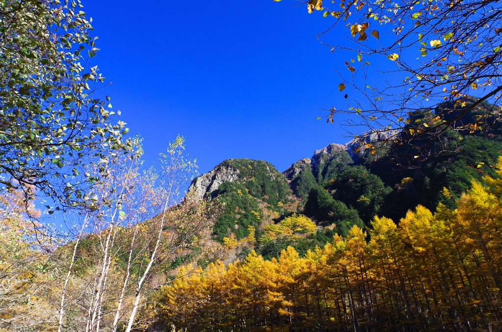 上高地の紅葉