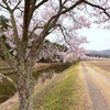 名倉の春