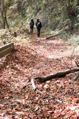 山道 落ち葉 2人