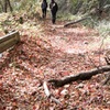 山道 落ち葉 2人