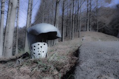 公園 灯 消灯