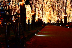 定禅寺通りにて