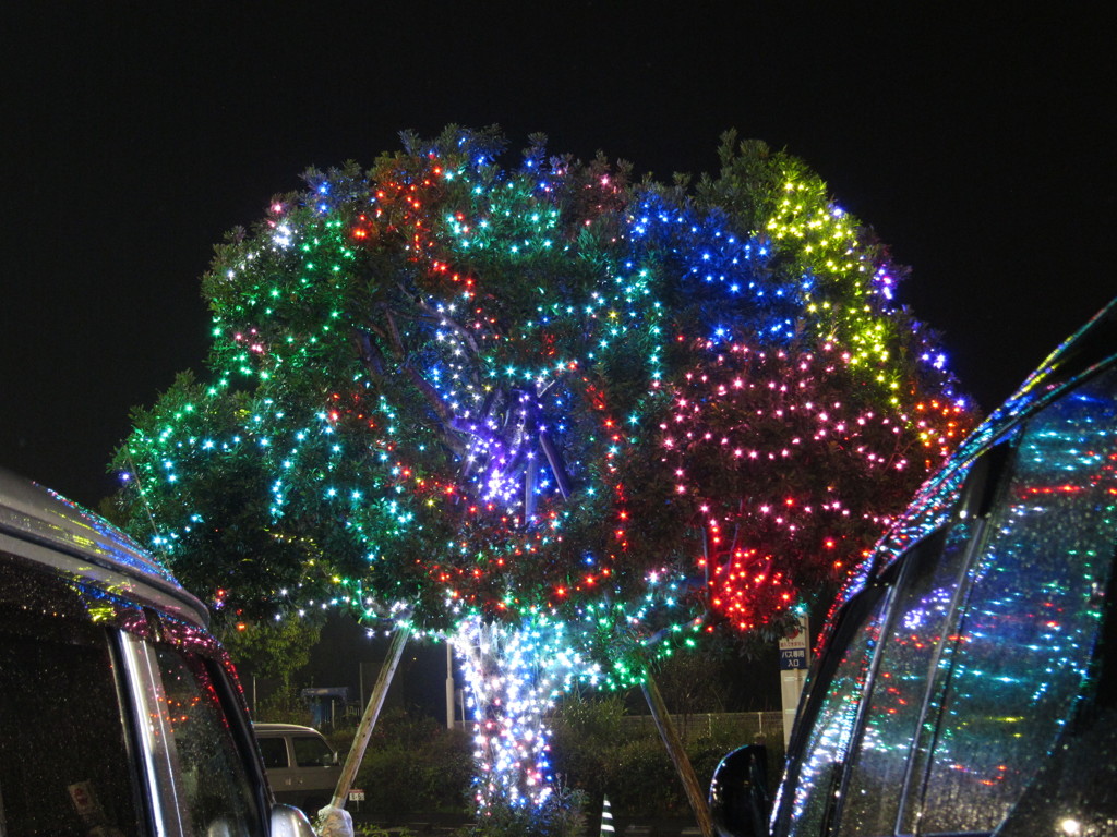 イオン高知のイルミネーション