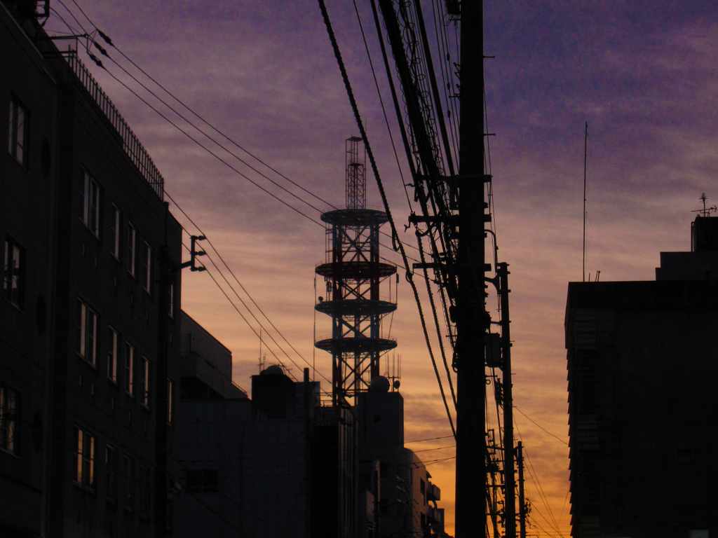 夕焼けと電線