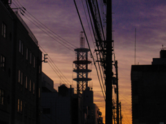 夕焼けと電線