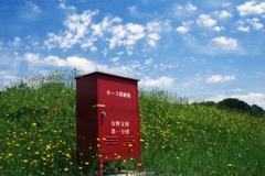 春