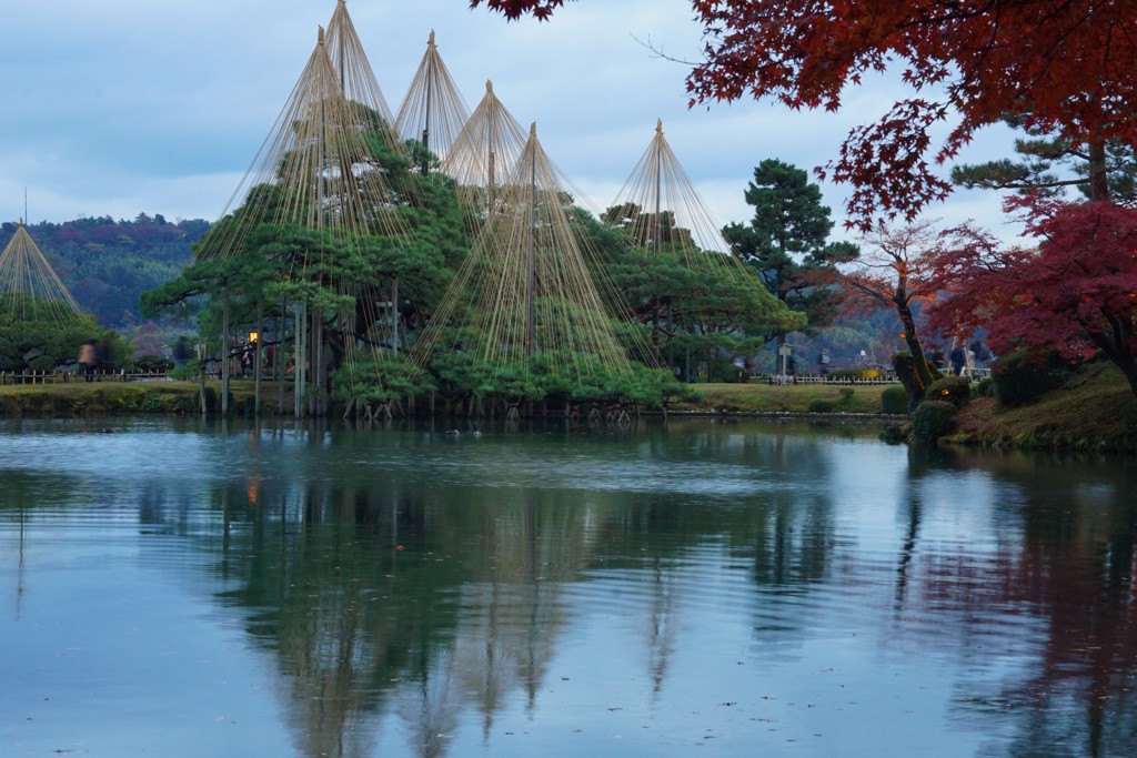 兼六園雪吊り