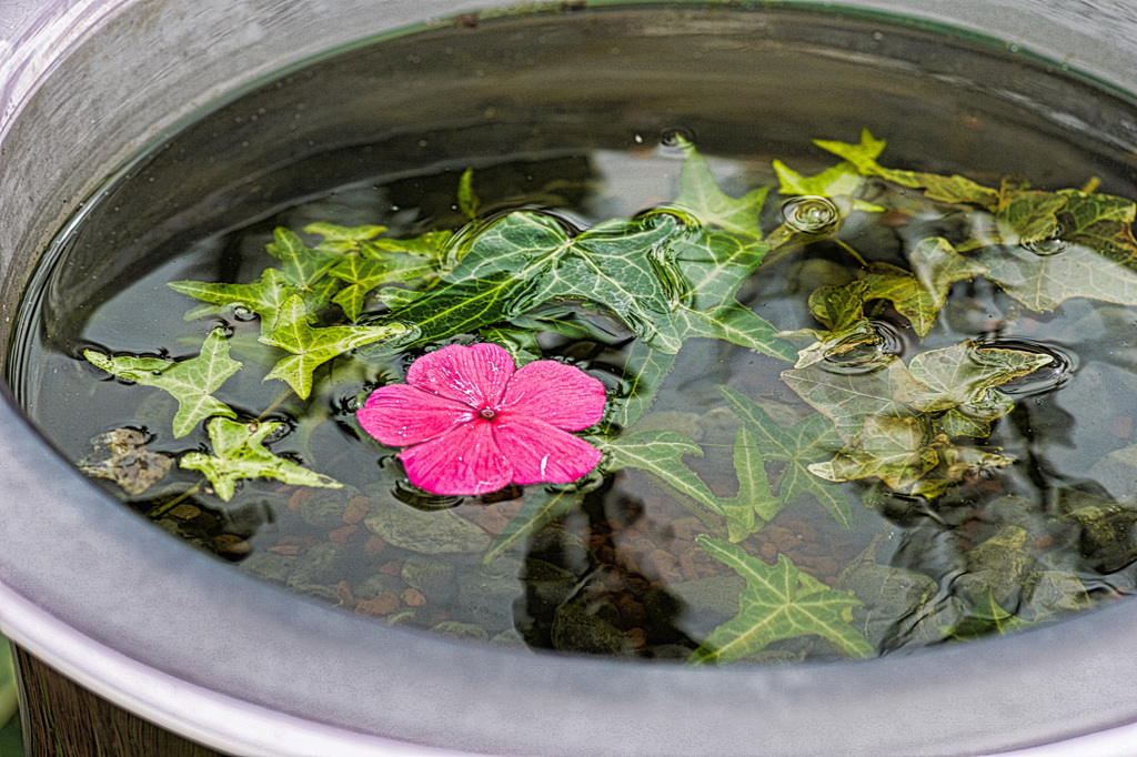 花を生ける手水桶