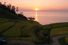 夕日に染まる白米千枚田