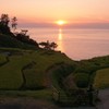 夕日に染まる白米千枚田