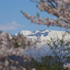 IMG_5727