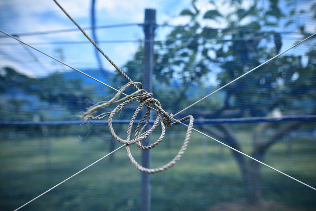 農園のロープ