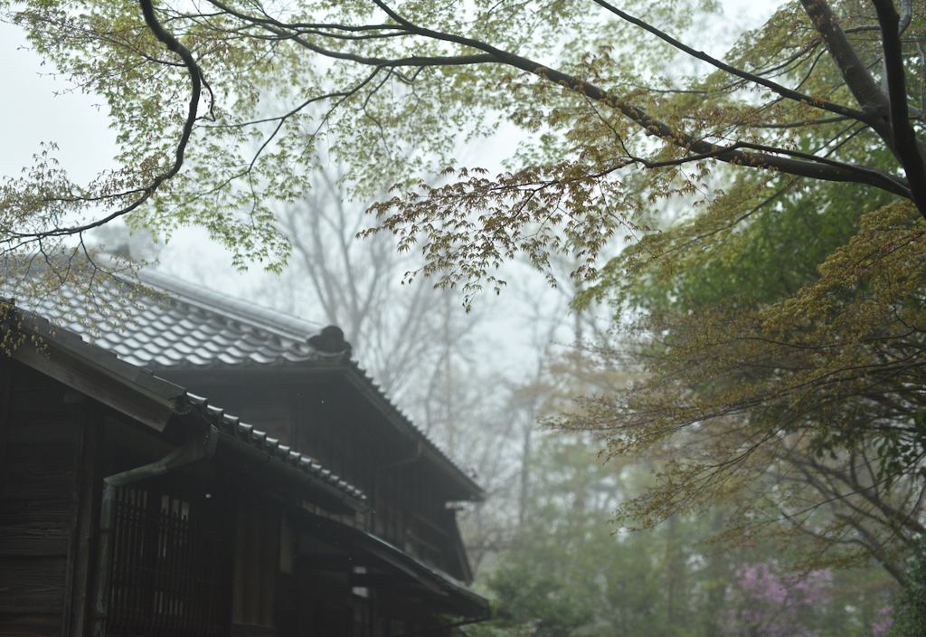 雨模様の景色