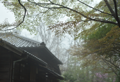 雨模様の景色