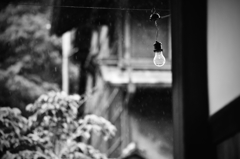 電球