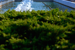 ある水の形